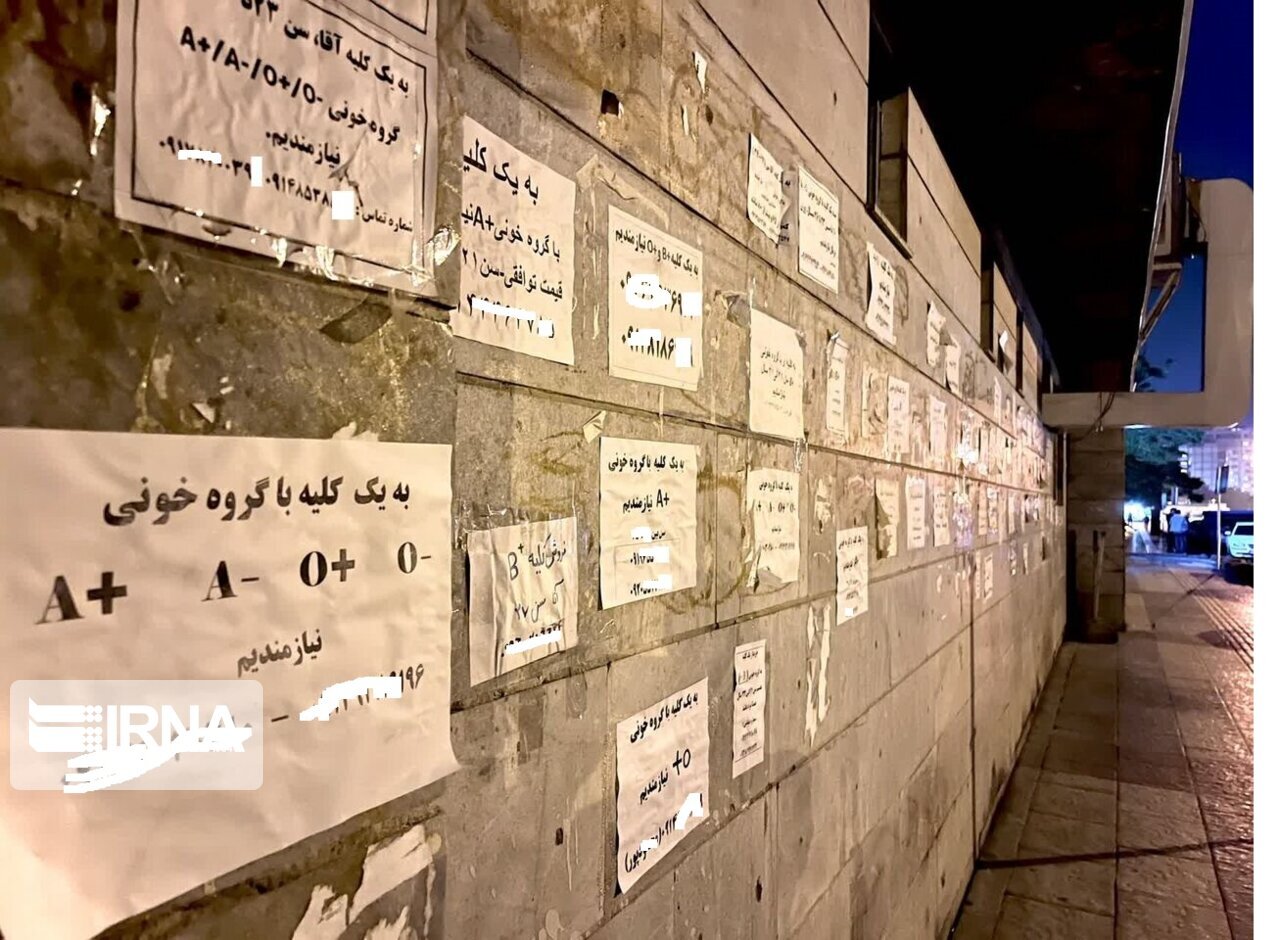  عضو بدن شما را خریداریم! / فروش دلاری کلیه با سفر ایرانی ها به ترکیه و عراق