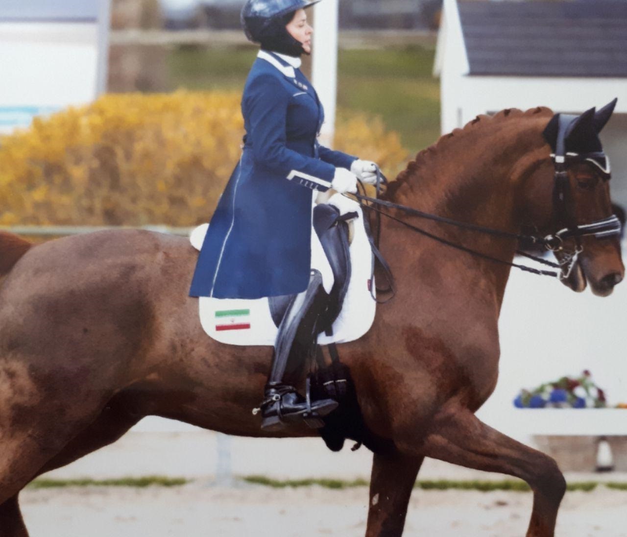 سجادی : مشکل مالکیت مشترک استقلال و پرسپولیس برطرف شده است