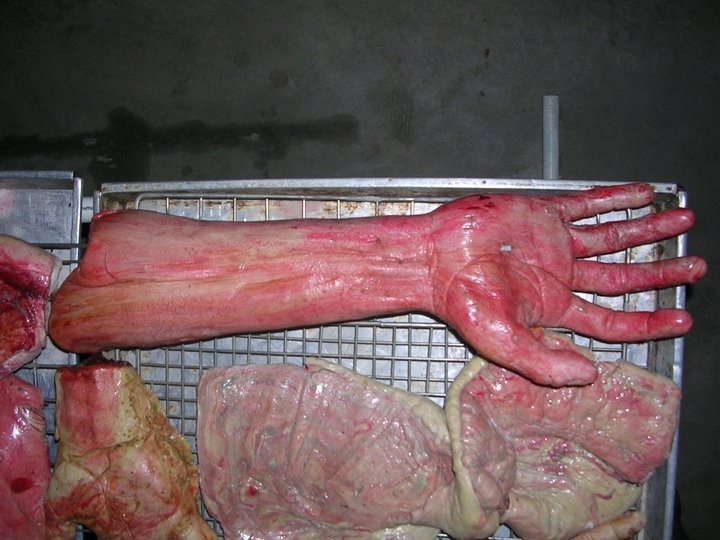 وقتی نان ترسناک می شود