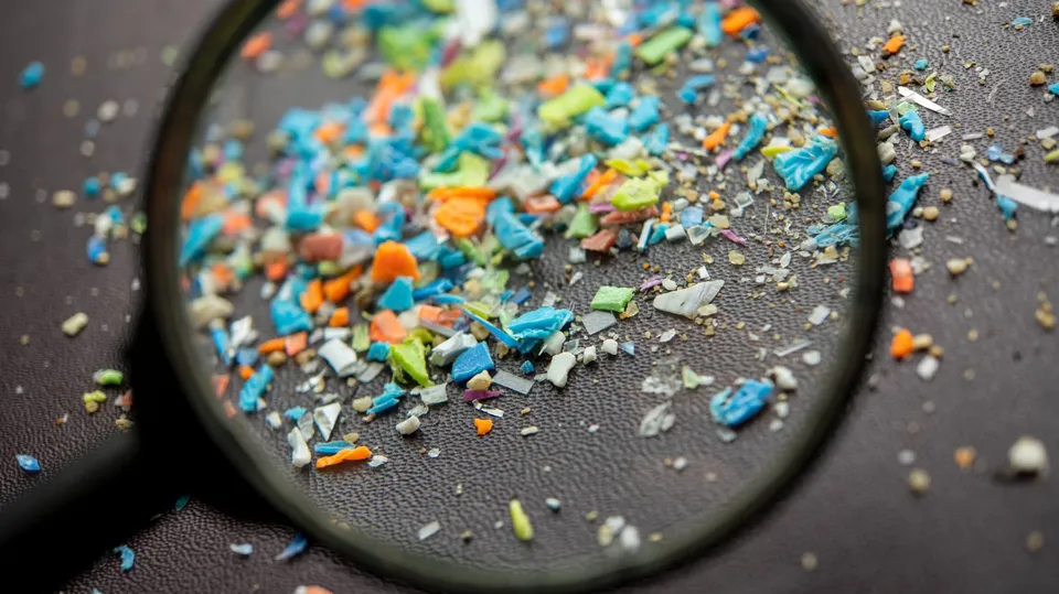 میکرو پلاستیک ها