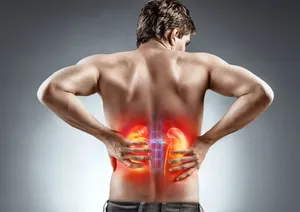 نقش حیاتی کلیه‌ها در تصفیه خون و ترشح هورمون‌ها
