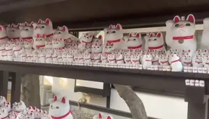 روز گربه در ژاپن