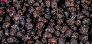 نقش خرما در بهبود عملکرد سیستم گوارشی