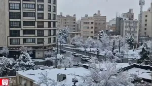 لحظات بارش برف در مشهد
