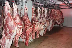 افزایش تولید گوشت قرمز تهدیدهای خارجی را بی اثر کرده است