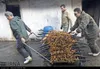 انزلی