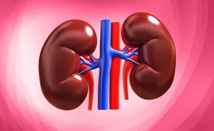 دیابت چگونه به کلیه‌ها آسیب می‌زند؟ (فیلم)