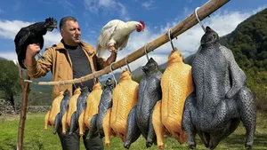 پخت سیاه‌ترین خروس جهان در یک آشپزی متفاوت