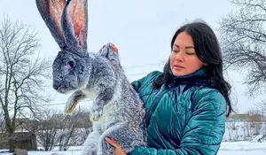 پخت غذای سنتی با خرگوش در روستایی برفی در اوکراین