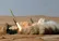 حمله موشکی به حزب ضد ایرانی «پاک» در کردستان عراق
