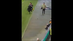 سنجاب بامزه مسابقه فوتبال در انگلستان را متوقف کرد