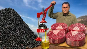 تهیه روغن زیتون فوق بکر به روش سنتی و فراموش شده