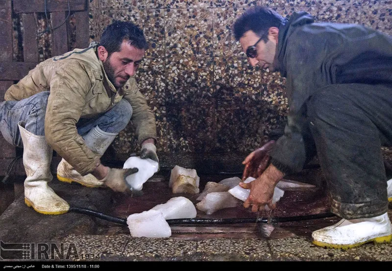 انزلی