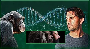 آیا میمون یا شامپانزه جد انسان امروزی اند؟