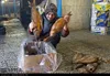 انزلی