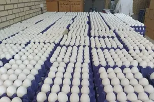 گران‌فروشی در نرخ های جدید مرغ و تخم مرغ رخ نداده است