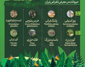 حیوانات در معرض انقراض ایران و آسیا را بشناسید(اینفوگرافی)