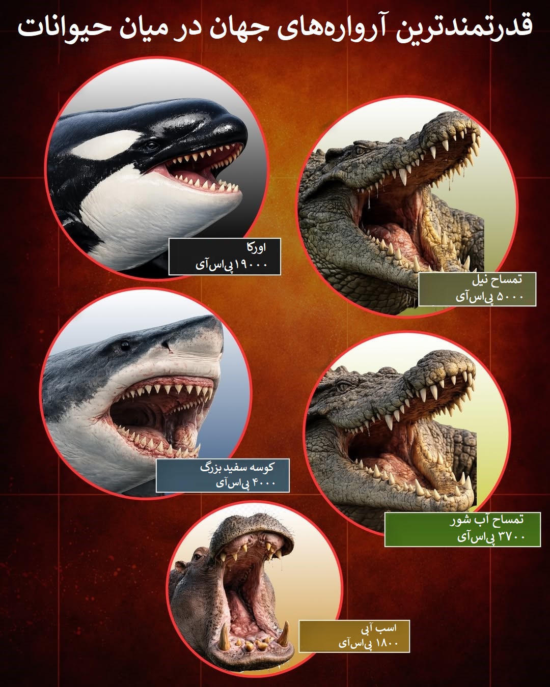 قدرت گاز گرفتن حیوانات