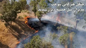 جنگل هیرکانی سوخت؛ مدیران مثل همیشه دیر رسیدند / ۴۰ میلیون سال عمر دود شد و هوا رفت (فیلم)