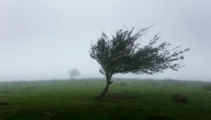 هشدار هواشناسی برای رگبار و تندباد در ۱۷ استان کشور