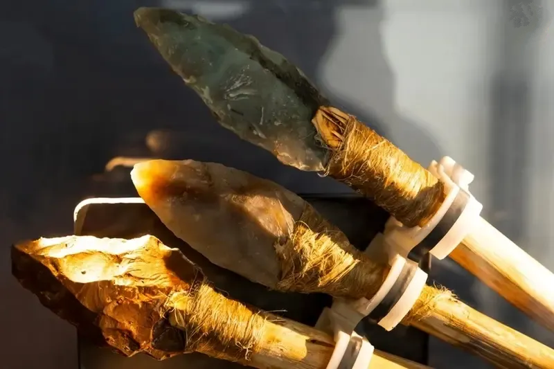 انسان انسان