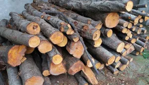 دستگیری ۷ قاچاقچی چوب در استان تهران