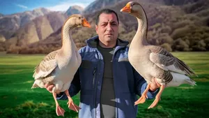 خورشت غاز با طعمی ناب و سس غلیظ