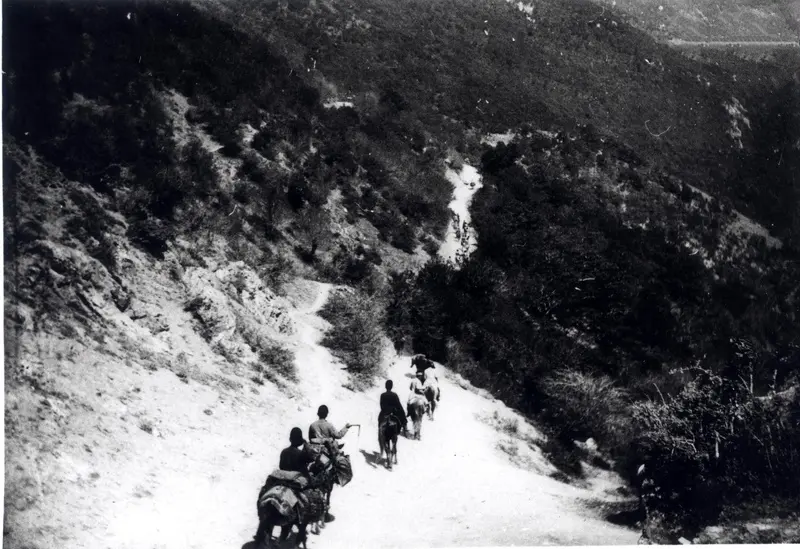 ناصرالدین شاه