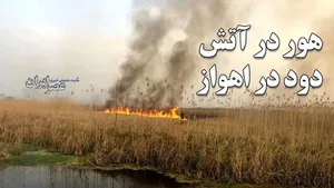 هور در آتش ، دود در اهواز / فاجعه زیست محیطی  که با هزار هواپیمای آب‌پاش هم درست نمی‌شود / حق‌آبه هور در عراق و ایران را بدهید (فیلم)