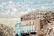 زخم تازه بر تن هیرکانی/ خروج درختان شکسته جنگل‌های شمال در بحبوحه جنگ