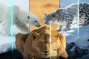 هنر نامرئی شدن؛ استراتژی های حیرت انگیز شکارچیان زنده (تصویری)