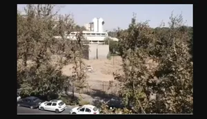 علت قطع درختان موزه فرش چه بود؟