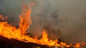 جزئیات آتش‌سوزی گسترده در جنگل‌های سپیدبرگ جوانرود(+کرمانشاه)