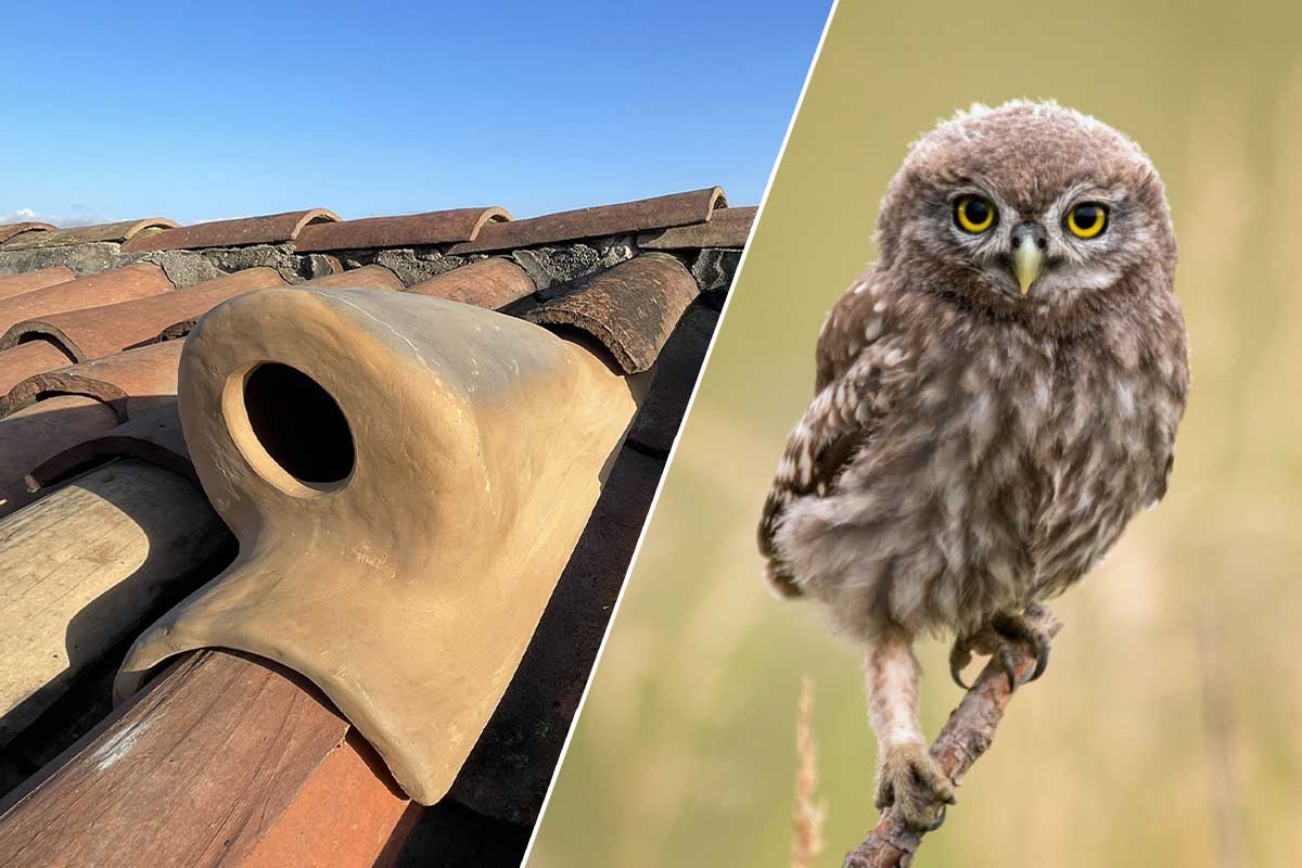 لانه‌سازی مصنوعی