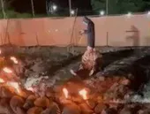  
شهر آیت‌الله بهجت و گل‌آقا را با جهنم معرفی نکنید! 