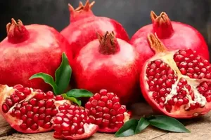 سفر به روستای هورامان | پاییز با عطر انار و آواز دف (فیلم)