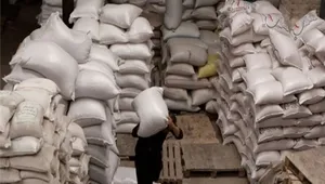 کشف ۱۳ تن آرد قاچاق در رشت؛ نانوایی متخلف پلمب شد