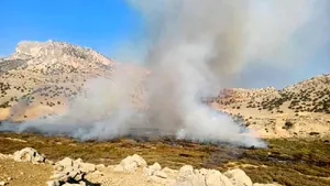 مهار آتش‌سوزی در منطقه حفاظت‌شده شیمبار خوزستان