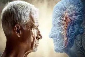 پیشگیری از پیری مغز با کاهش ۳۰ درصدی کالری