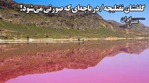 گلفشان نفتلیجه/دریاچه ای که صورتی می شود! (فیلم)