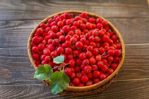 میوه‌ای کوچک و قرمز با خواص درمانی معجزه گر برای بدن!