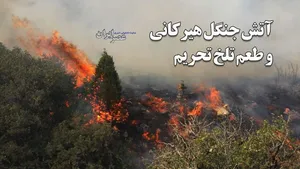 خاموش کردن آتش جنگل هیرکانی با طعم تلخ تحریم / با ما از شیرینی مدیریت نگو / یک پرسش ساده: چرا آن‌ها دارند ما نداریم؟ (فیلم)