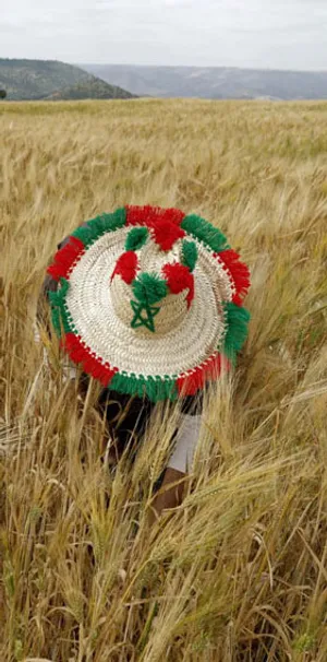 دیدنی های امروز؛ از جشنواره هندویان تا سخنرانی هفتگی پاپ