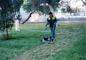 واریز عیدی ۶.۵ میلیون تومانی برای کارکنان شهرداری تهران