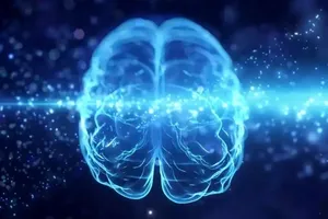 محققان: تمرینات ذهنی پیری مغز را تا ۱۰ سال معکوس می کنند