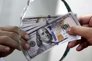 هشدار بانک مرکزی به خریداران هیجانی ارز؛ ریسک زیان در کمین است