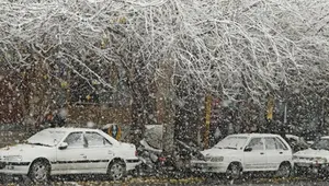 هشدار زرد هواشناسی: نفوذ توده هوای سرد و بارش برف در ۲۶ استان