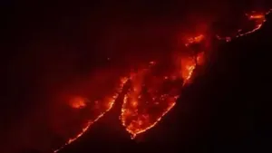 درخواست کمک خارجی برای مهار آتش سوزی جنگل های چالوس
