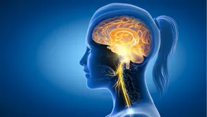 عصب واگ؛ پل مخفی بین مغز و روده که استرس را نابود می‌کند