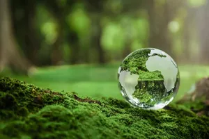 راهکار‌هایی برای نگهداری از محیط زیست (فیلم)
